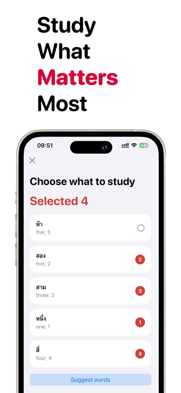 Languick screenshot 2